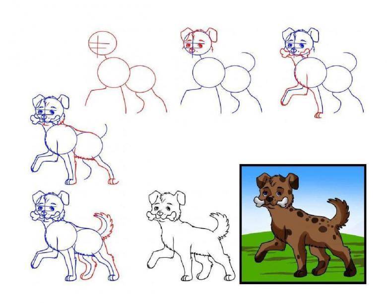 Как простым карандашом нарисовать очаровательную собаку