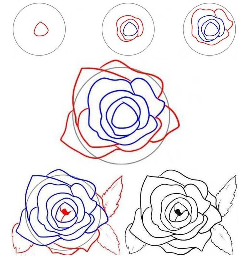 Как легко нарисовать розу поэтапно карандашом: легкая техника рисования красивой розы