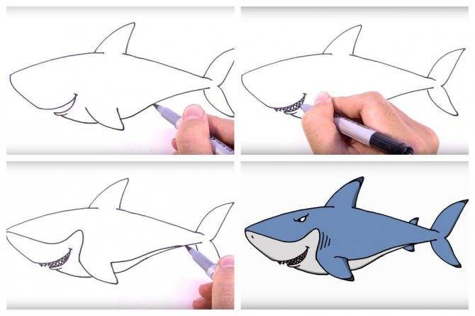 Как нарисовать акулу  поэтапно 10 уроков