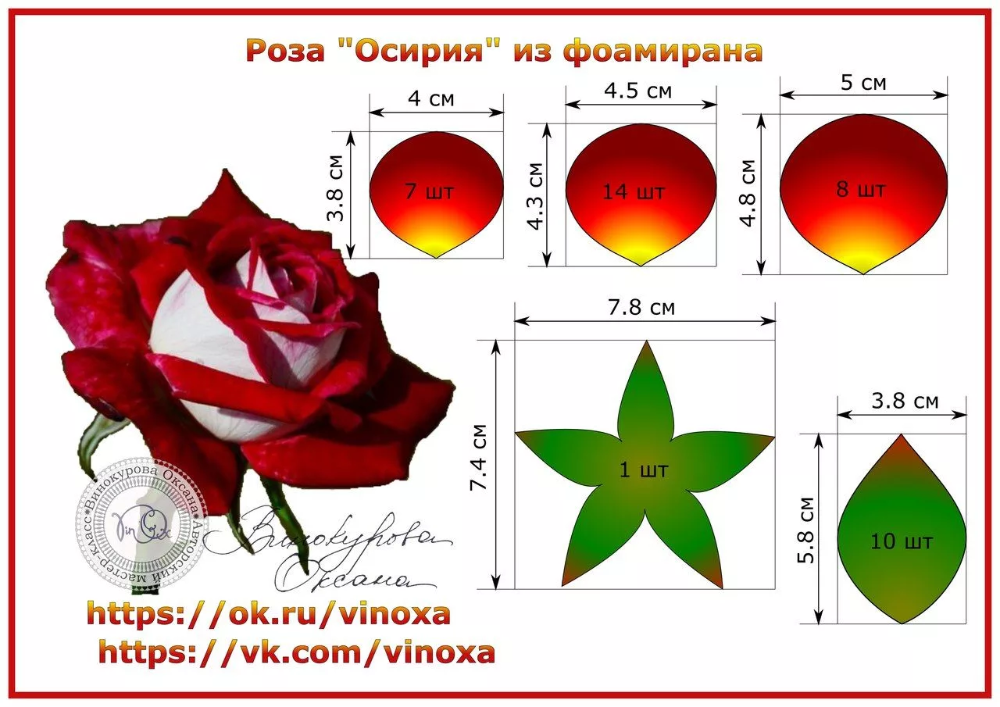 Эскиз лепестка розы