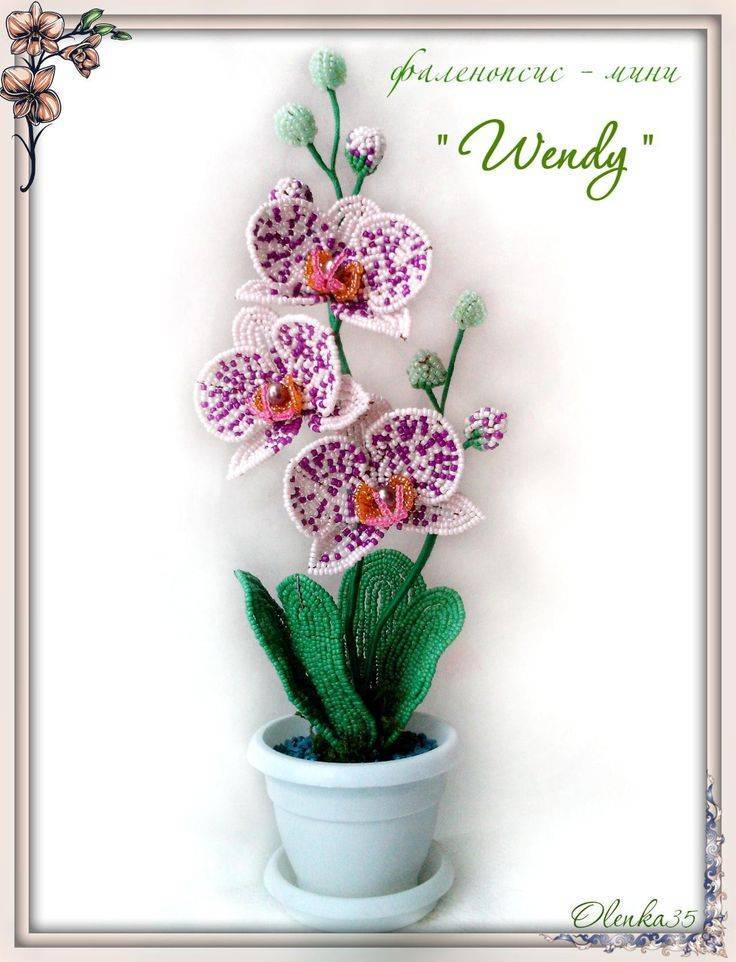 Орхидея из бисера мастер класс с пошаговым фото для начинающих, схема плетения и описание