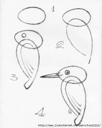 Как нарисовать сову карандашом поэтапно для начинающих и детей? как нарисовать красивую, мультяшную, умную сову в очках, голову совы?