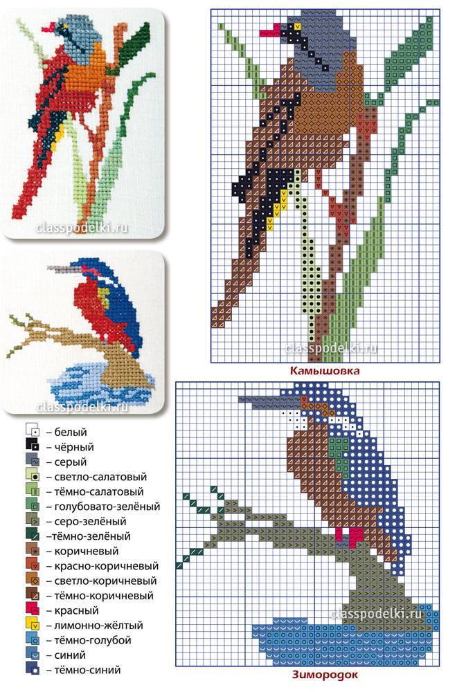 Схемы вышивки крестом птиц - дизайн и интерьер