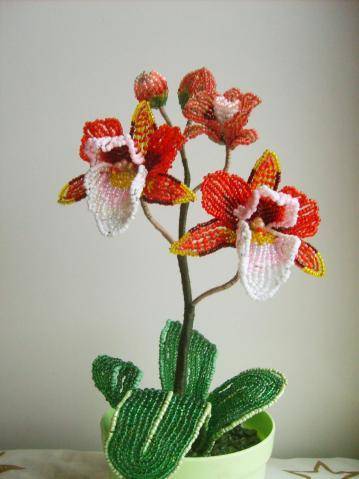 Орхидея из бисера: мастер-классы с пошаговым фото для начинающих