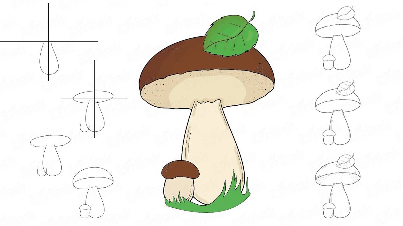 Белый гриб рисунок для детей карандашом