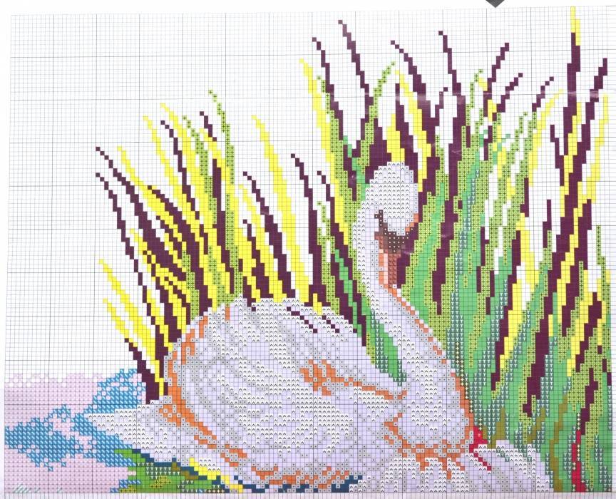 Лебеди вышивка крестом белоснежных птиц (схемы)