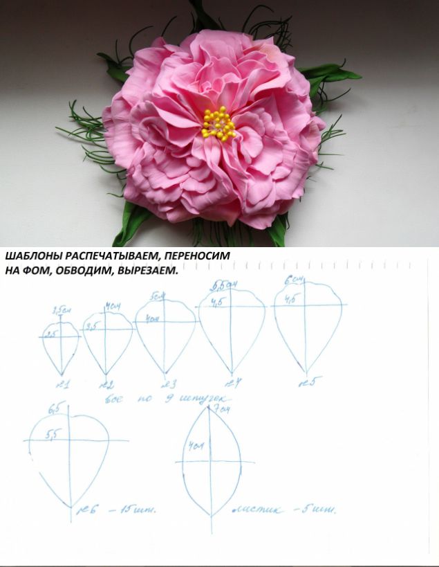 Пионы из фоамирана своими руками с пошаговым фото для начинающих схема
