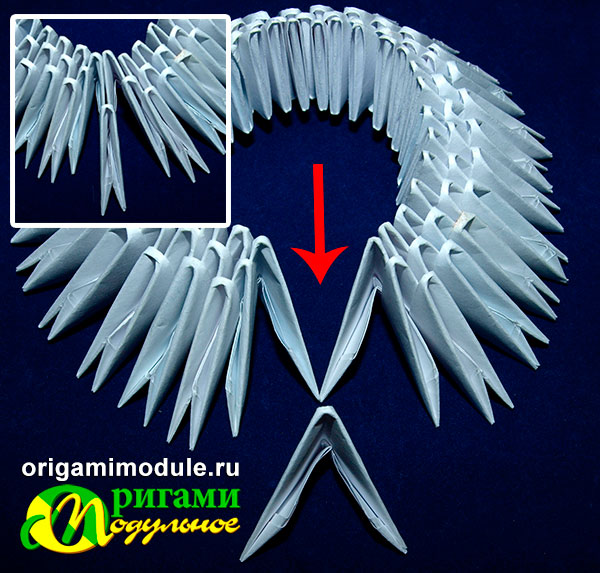 Модульное оригами: лебедь простой и свадебный лебедь для начинающих
