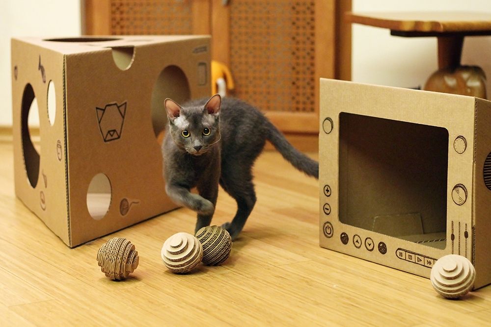 Как сделать игрушку для кота? игрушки для кошек и котят своими руками