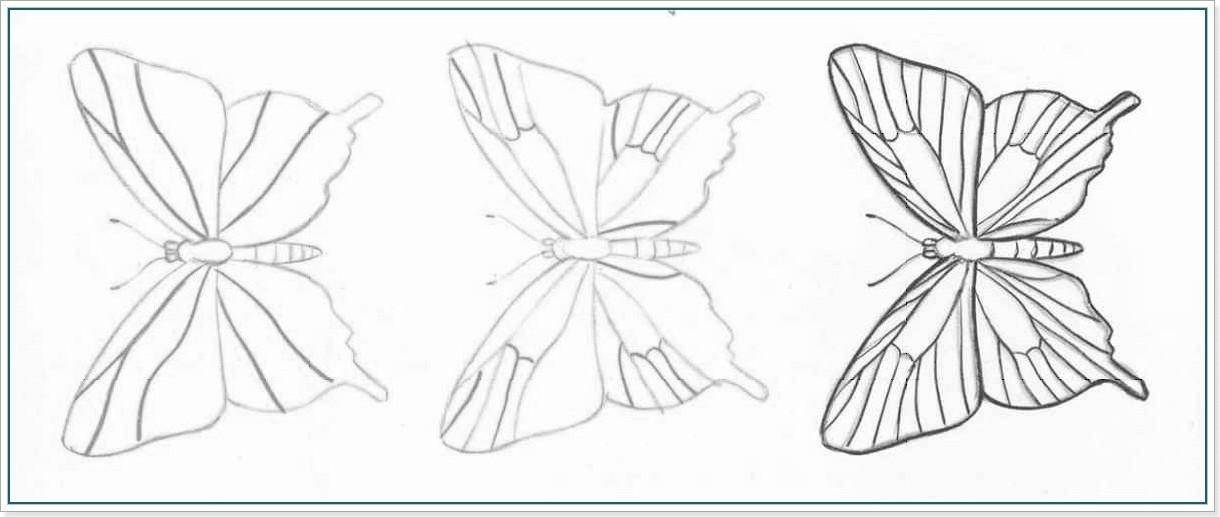 Как нарисовать бабочку карандашом легко: идеи, пошаговые советы