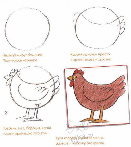 Как нарисовать петуха карандашом поэтапно для детей