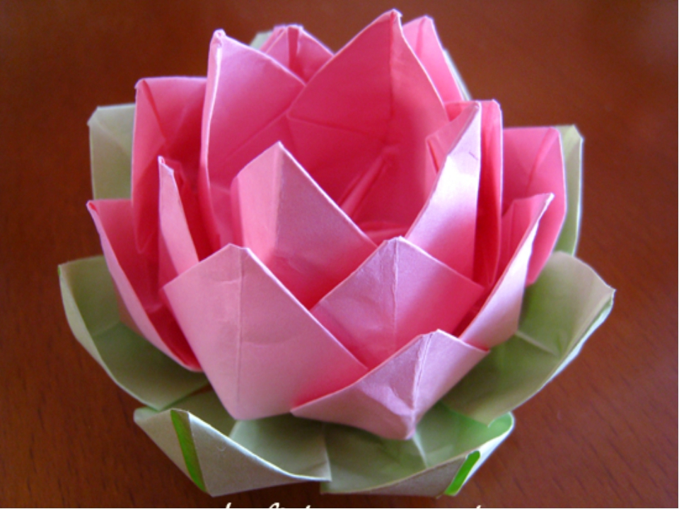 Цветок лотоса своими руками из бумаги: создаем настроение самостоятельно