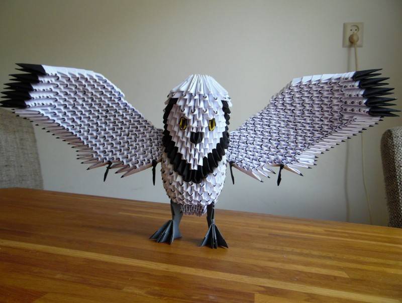 Оригами совы: схемы сборки поделок, пошаговая инструкция изготовления треугольных модулей