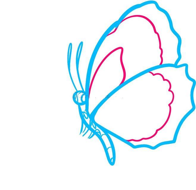 Как нарисовать бабочку: поэтапно карандашом