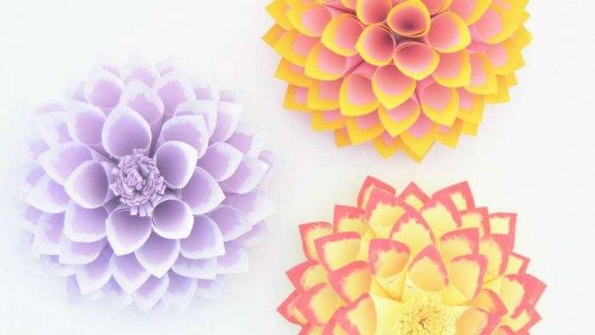 Цветы из бумаги: схемы легких и быстрых объемных и плоских цветов (видео + 155 фото)