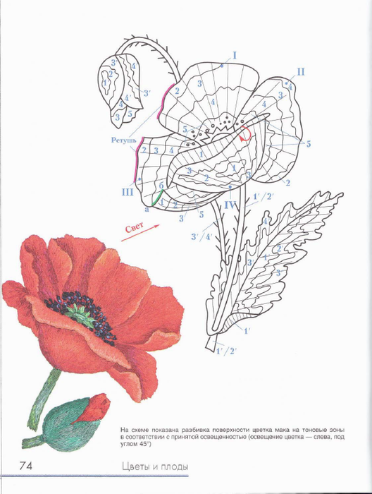 Схема вышивки гладью цветы с цветным изображением