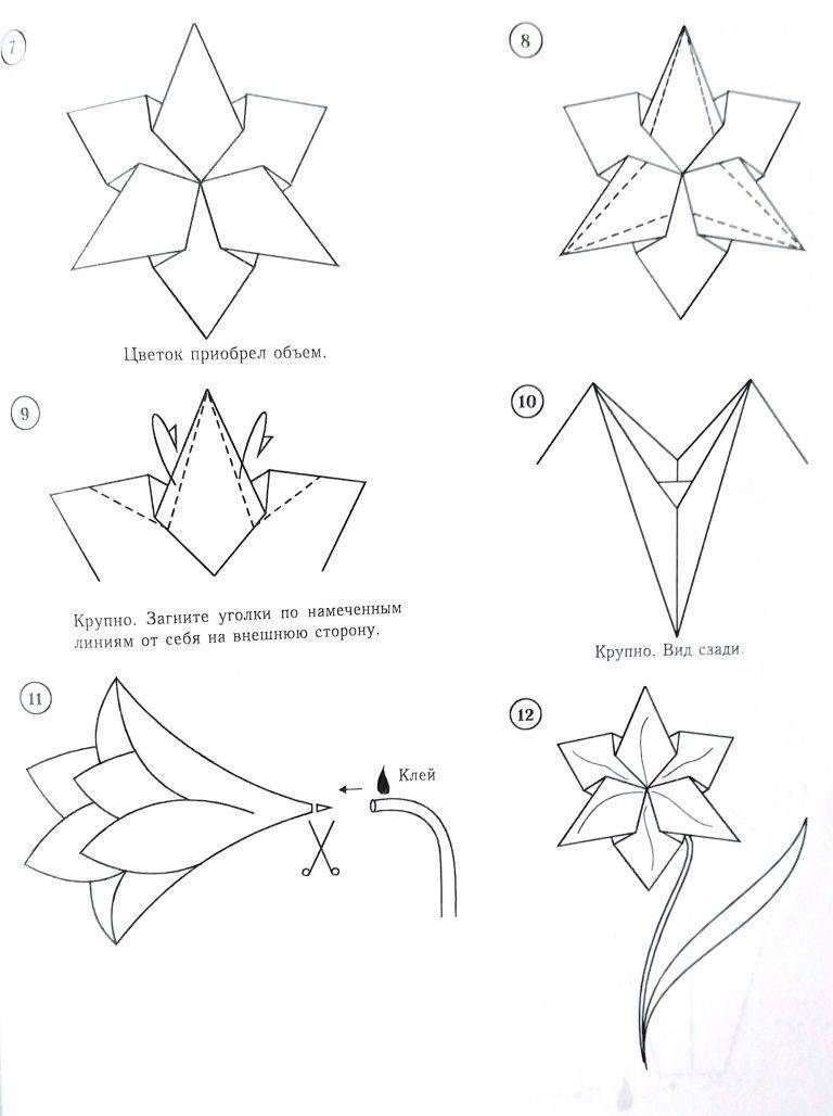 ᐉ как сделать объемную лилию из бумаги. оригами лилия: секрет создания очаровательного цветка ✅ igrad.su