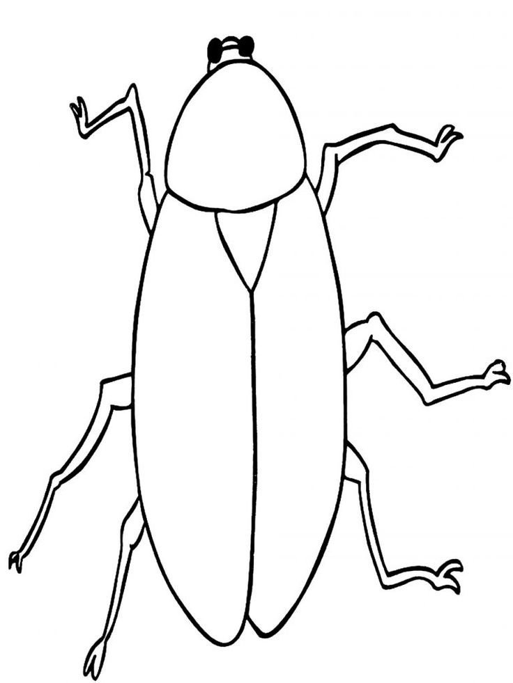 Как нарисовать таракана простые шаги и советы для начинающих художников