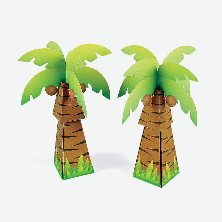 Как сделать листья для пальмы из бумаги. пальма из пластиковых бутылок своими руками поэтапно: делаем с подробным мастер классом для начинающих и видео уроками