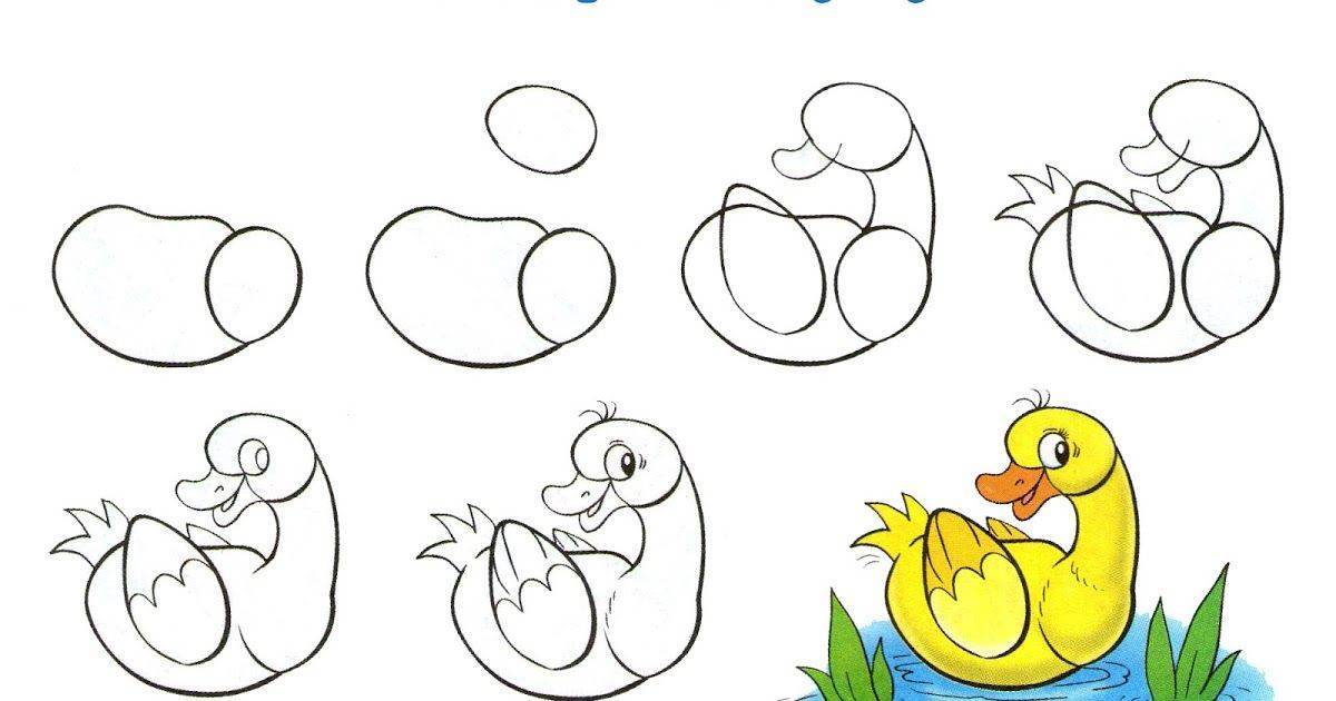 Как нарисовать утку своими руками пошагово: урок рисования утки красками и карандашом (инструкции, схемы, картинки)