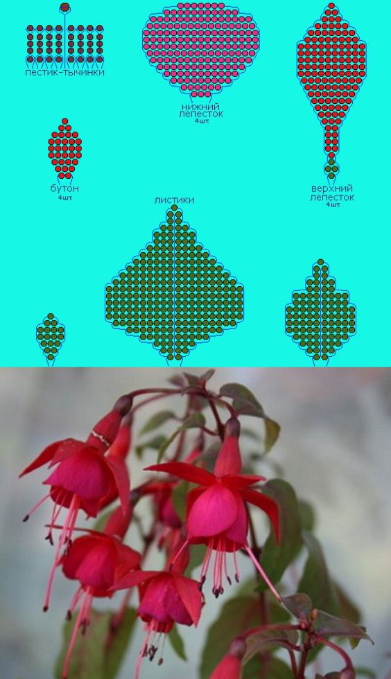 Схемы плетения браслетов из бисера: фото пошагово, видео
браслеты из бисера: фото, схемы — modnayadama