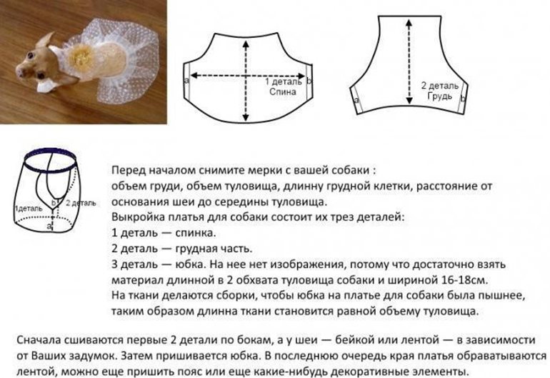 Схема одежды для чихуахуа своими руками