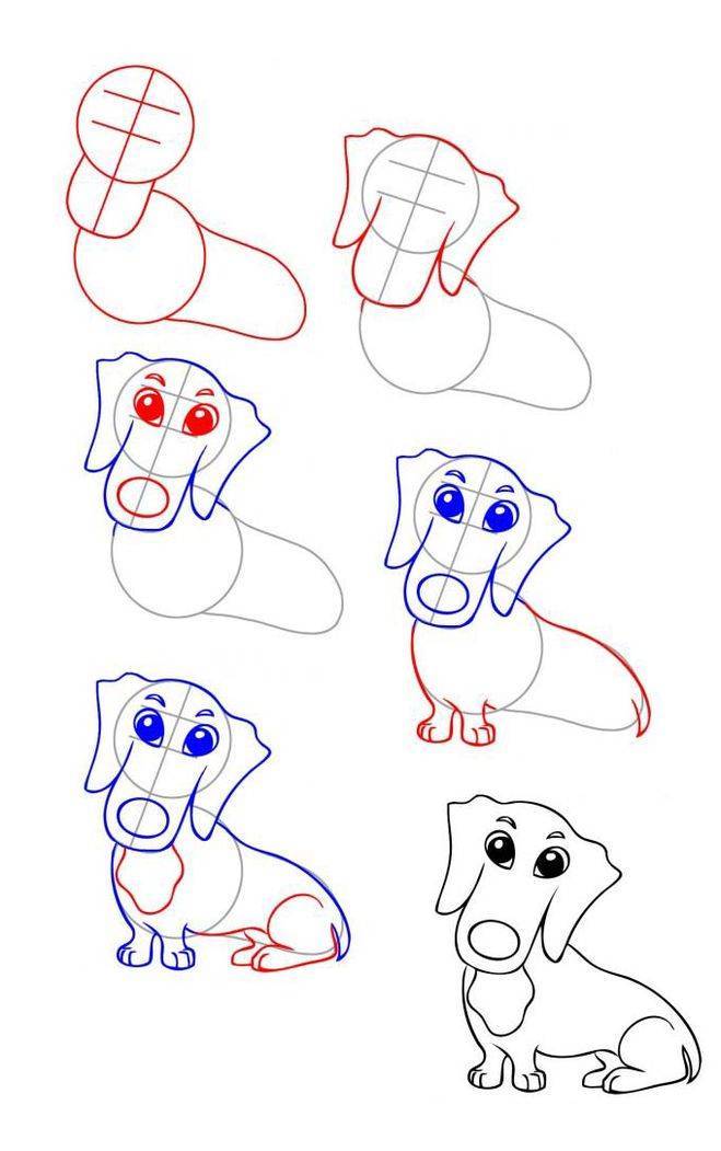 Как легко и красиво нарисовать собаку символ 2018 года карандашом и красками: мастер-классы для детей и начинающих художников