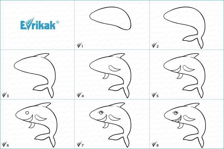 Как нарисовать кита — рисунок кита поэтапно карандашом