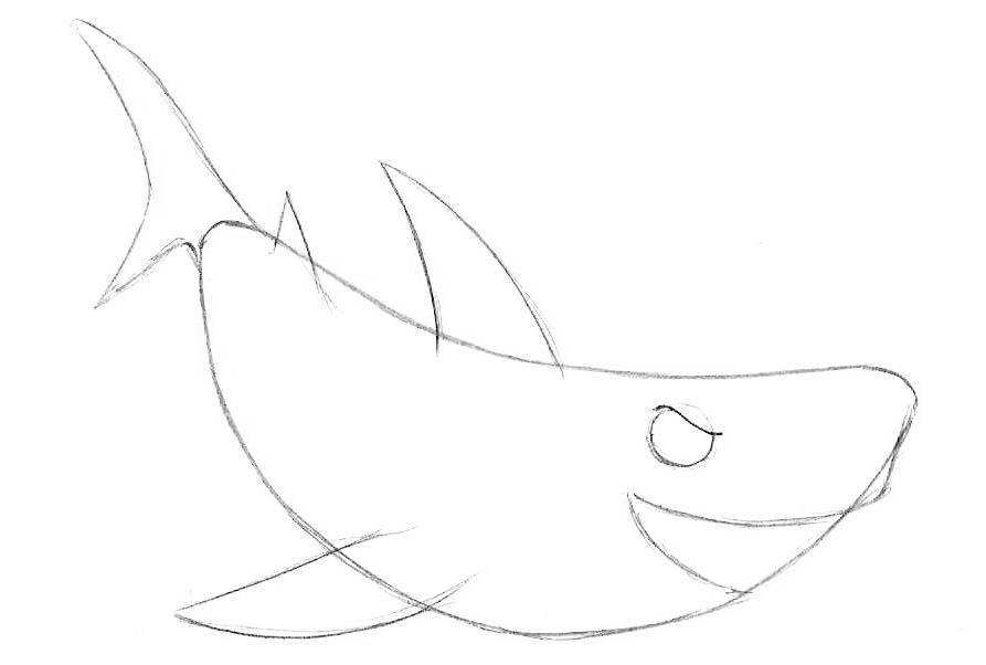 Простые уроки рисования: как нарисовать акулу