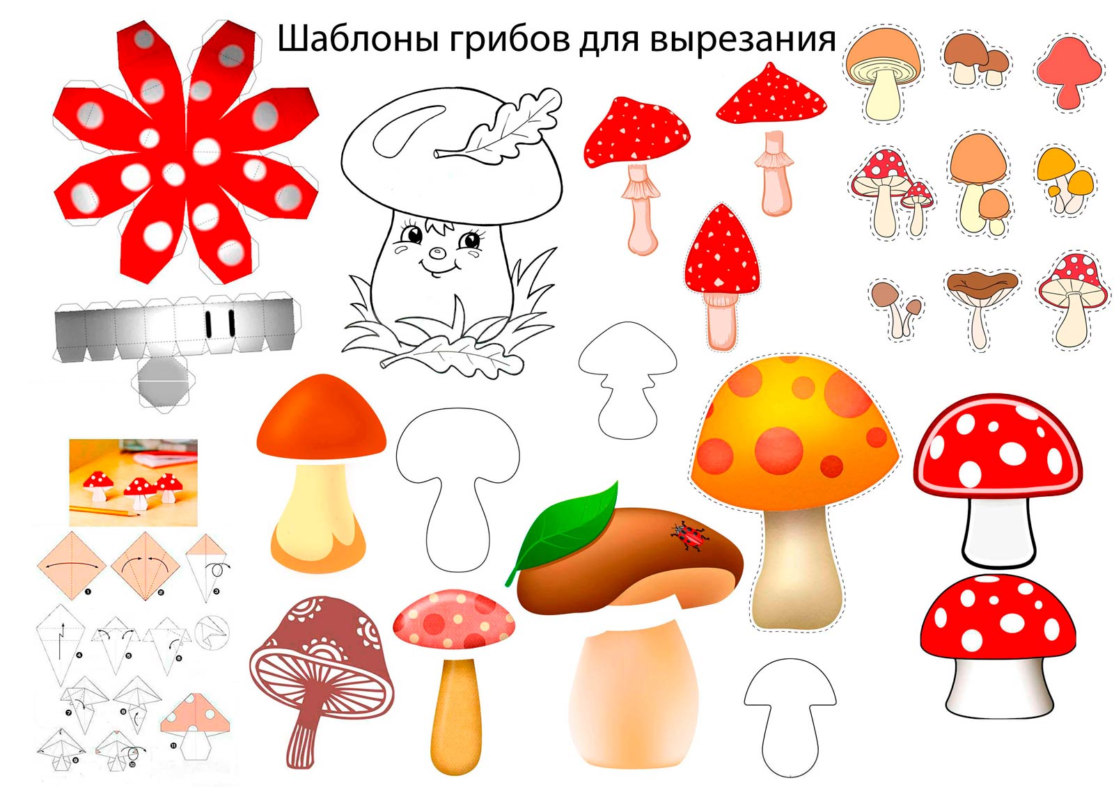 «грибы» план-конспект занятия по аппликации, лепке (средняя группа) на тему