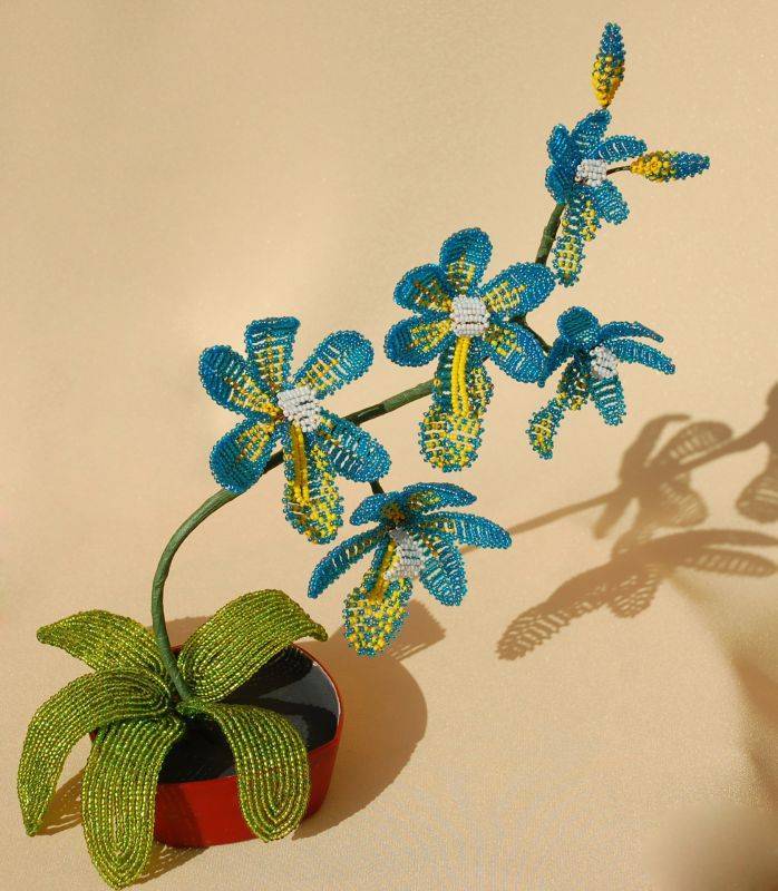 Плетение орхидеи из бисера: мастер-классы и схемы для начинающих рукодельниц