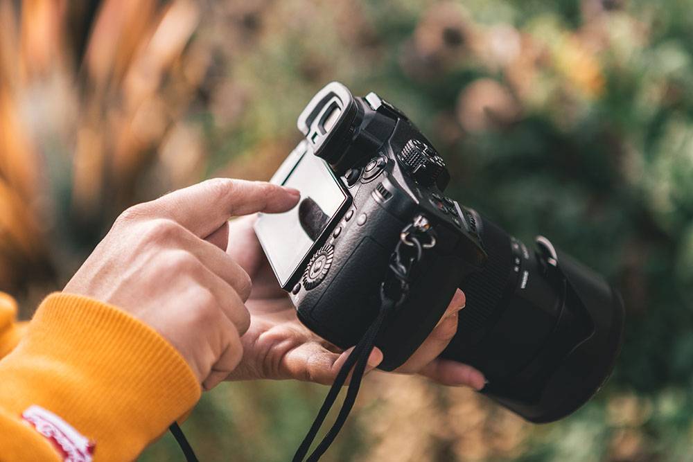Как научиться фотографировать