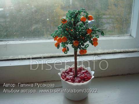 Апельсиновое дерево из бисера: схема плетения, мастер-класс, советы по оформлению готового изделия с красочными фото и видео