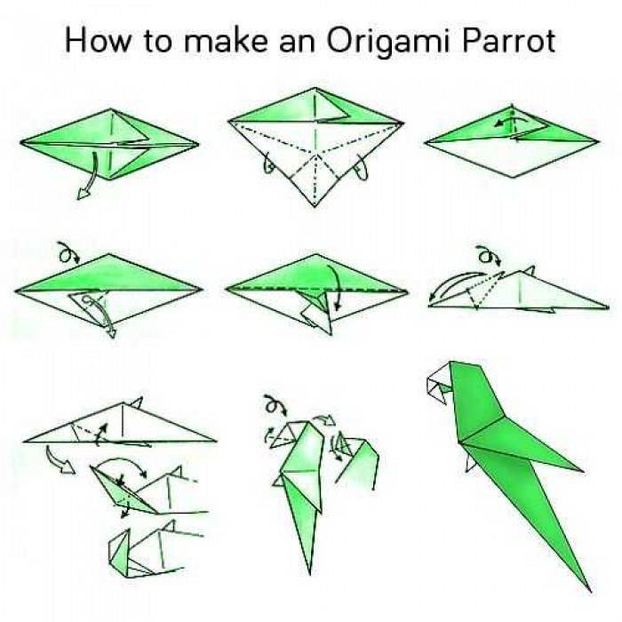 Как сделать попугая из бумаги, модульное оригами попугай