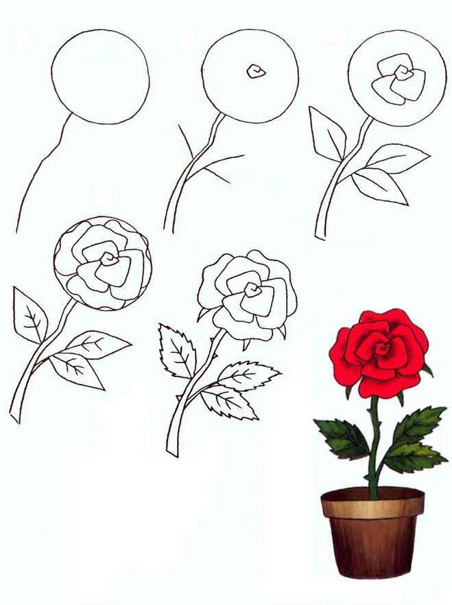 Как нарисовать розу поэтапно карандашом и красками: советы для начинающих