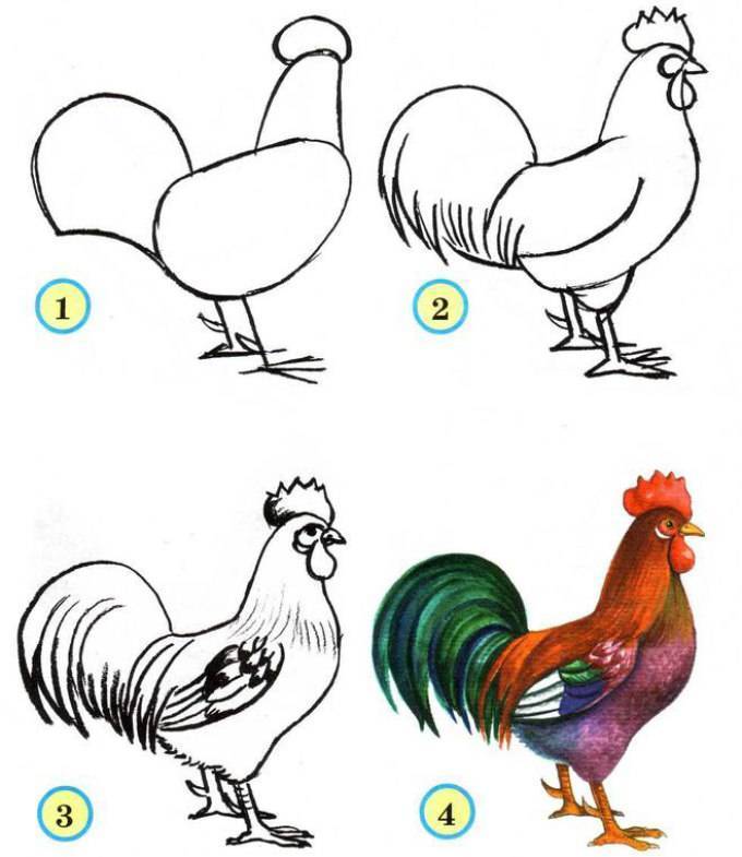 Как нарисовать цыплёнка поэтапно для детей — megamaster.info