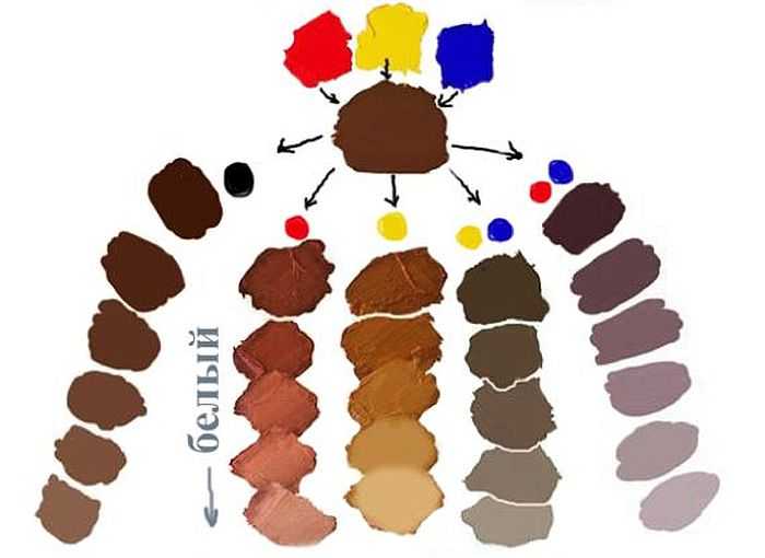 Как получить коричневый цвет, смешивая краски | lookcolor