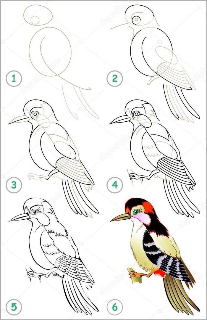 Учимся рисовать дятла  изо 2 класс