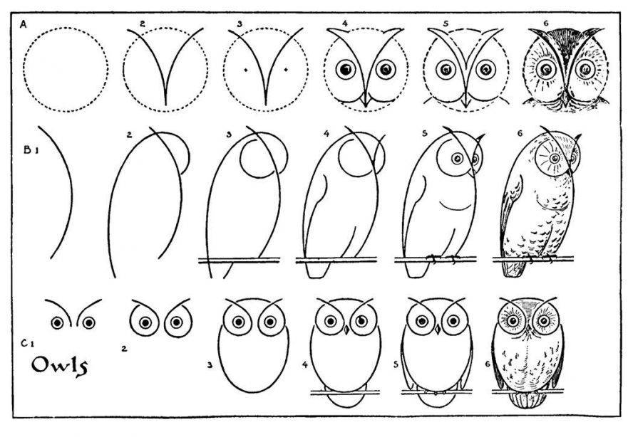 Рисунок совы поэтапно, как нарисовать сову, филина карандашом