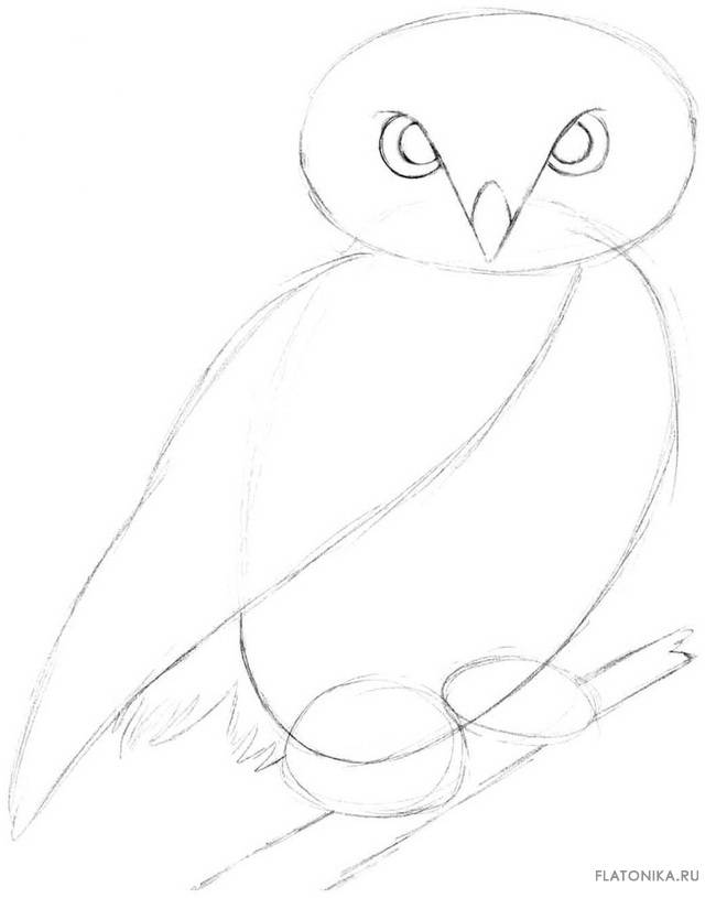 Как рисовать сову карандашом поэтапно для начинающих и детей? как рисовать по клеточкам сову, красками?