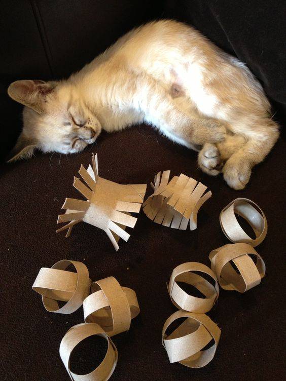 Как сделать игрушку для кота своими руками в домашних условиях?
