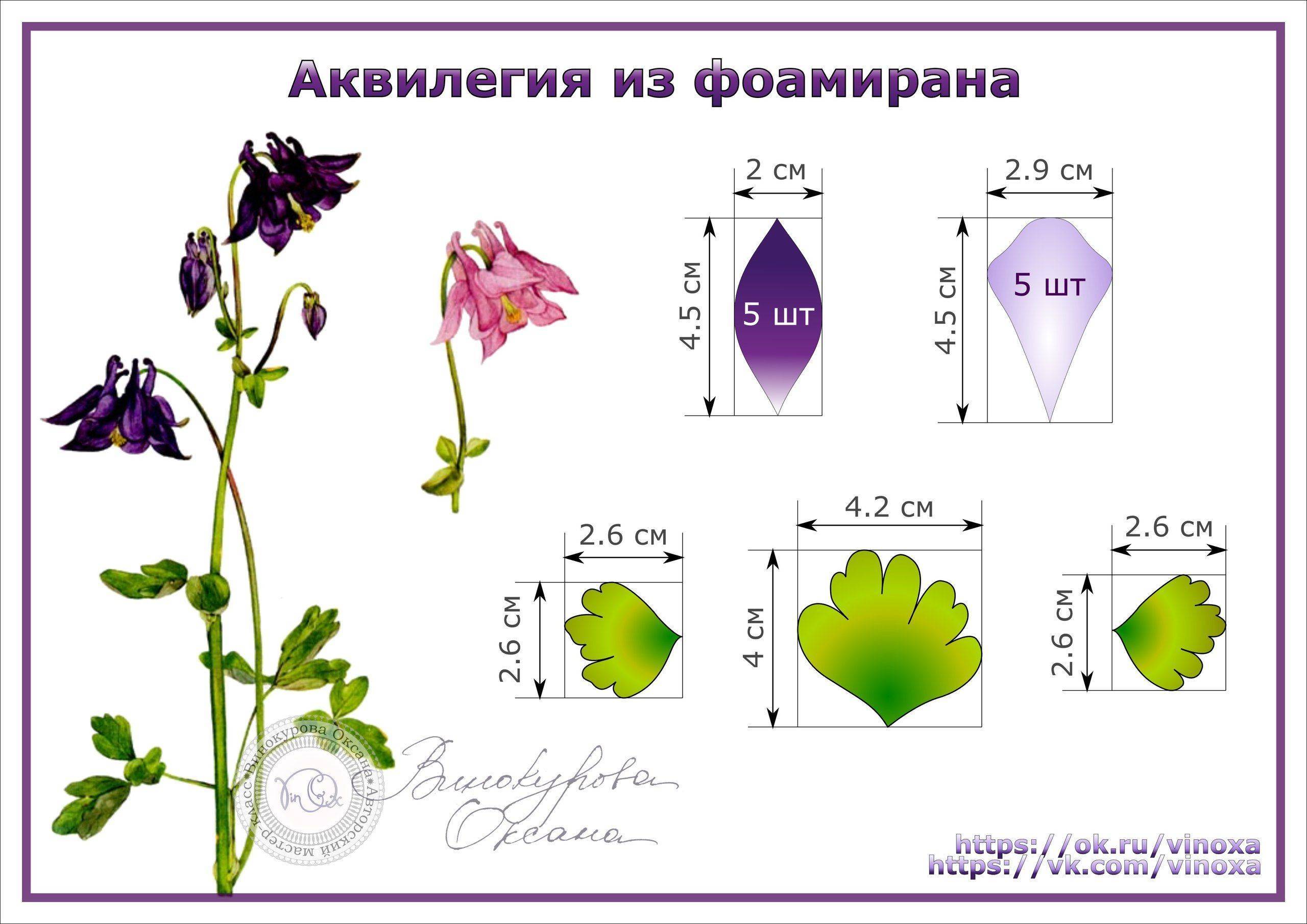 Эскиз цветов из фоамирана