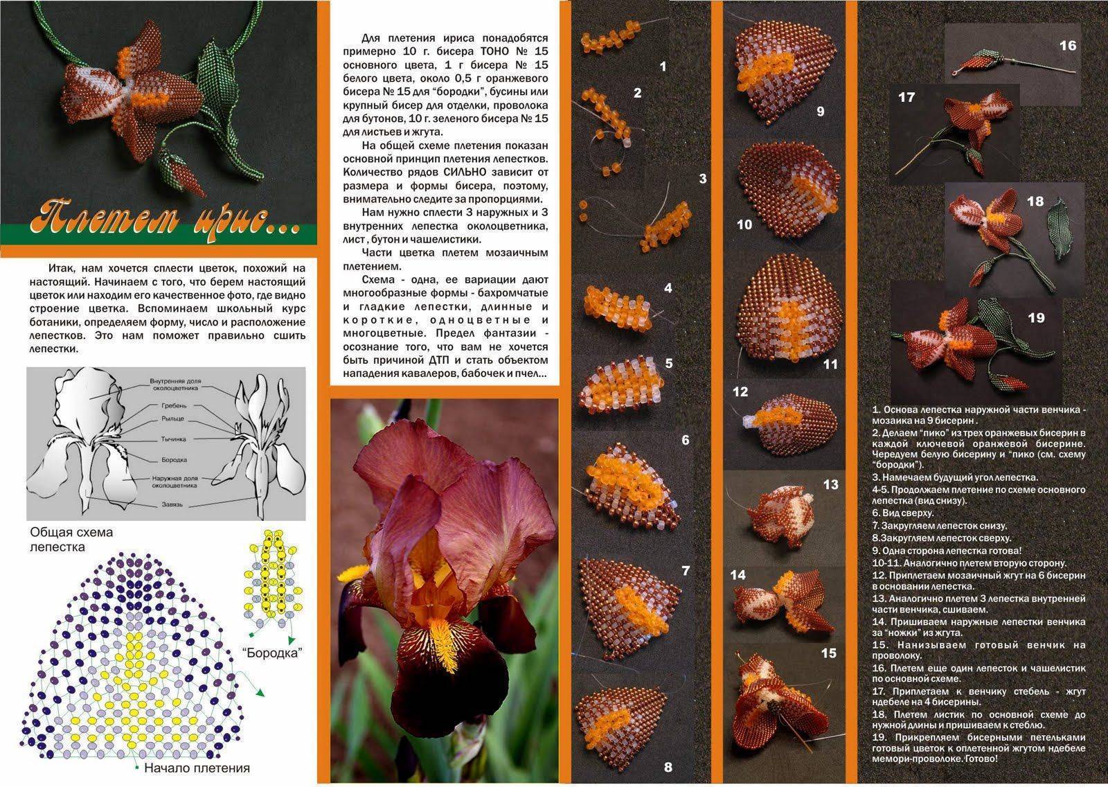 Орхидея из бисера: видео, фото, схемы плетения и мастер-классы
