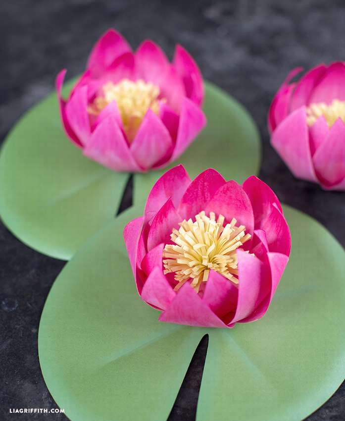 Изготовление цветка лотоса из бумаги. оригами лотос: простой и модульный цветок для начинающих. как испечь печенье в форме лотоса
