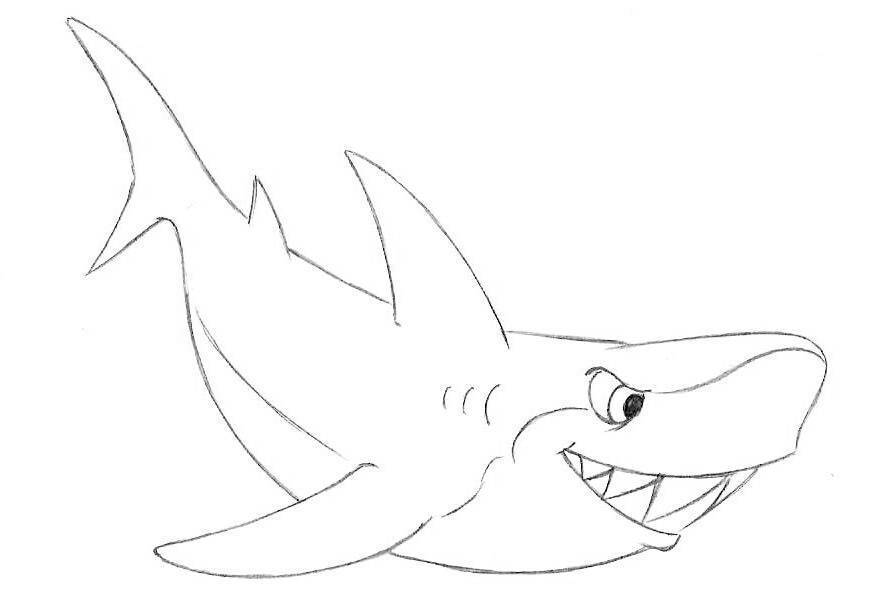 Простые уроки рисования: как нарисовать акулу :: syl.ru