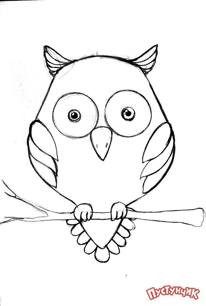 Как поэтапно научиться делать рисунок совы: выбор техники рисования и материалов, мастер-класс