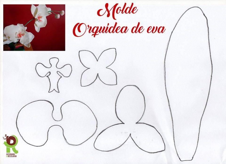 Мастер-класс по орхидеям из фоамирана: шаблоны с фото и видео