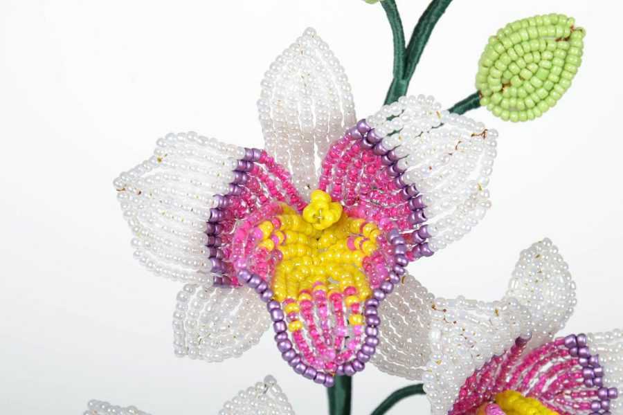 Орхидея из бисера: фото, схема плетения, пошаговая инструкция