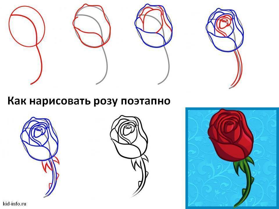 Как нарисовать розу поэтапно карандашом для детей, в вазе, гуашью для начинающих и др: пошаговые инструкции с фото и видео