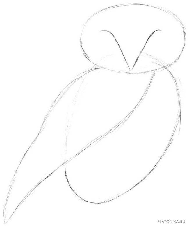 Как рисовать сову карандашом поэтапно для начинающих и детей?